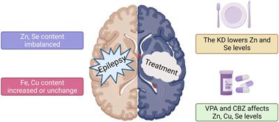 Research progress on correlations between trace element levels and epilepsy